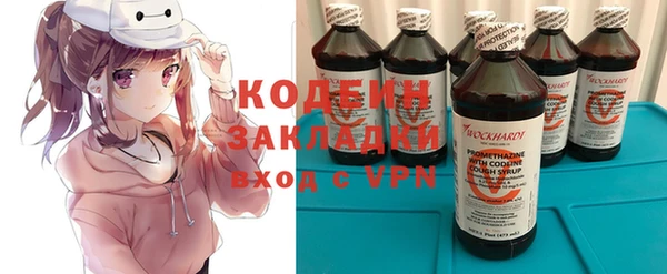 хмурый Касимов