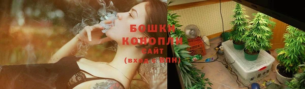 хмурый Касимов
