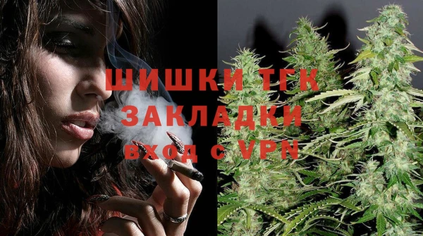 индика Карталы