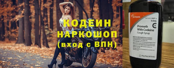 индика Карталы