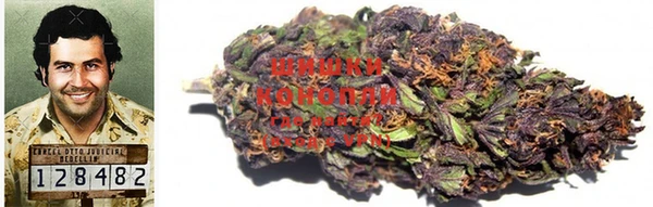амф Карпинск