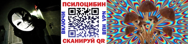 Купить закладки  Калач  Галлюциногенные грибы Magic Shrooms 